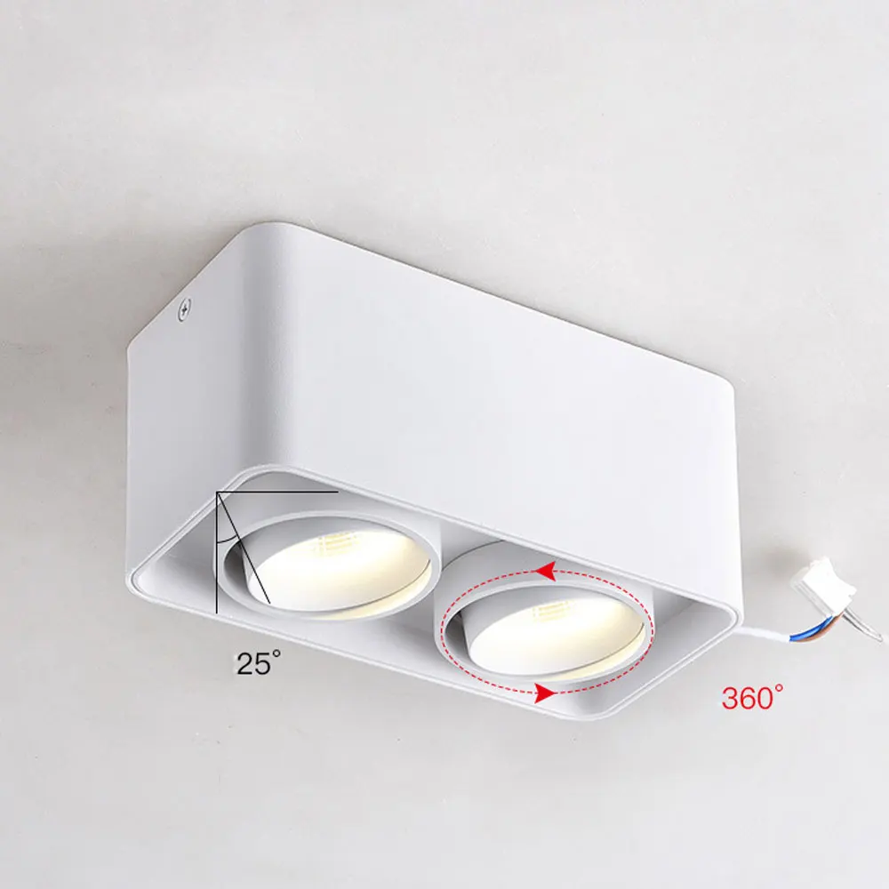 downlight (8)