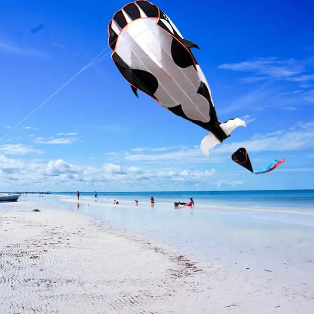 Professional Power 3d Cartoon Whale Software Kite / Good Single Kites with Line Animal Flying String