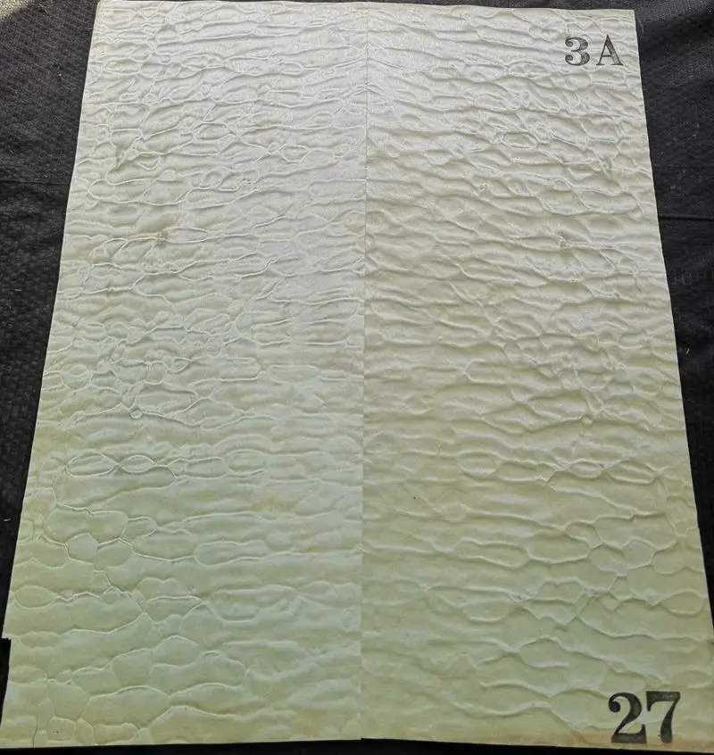27