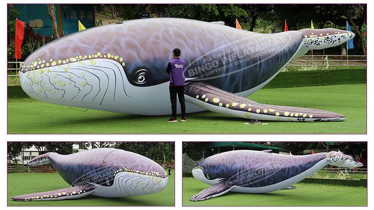 BG-00172-Inflatable whale_02