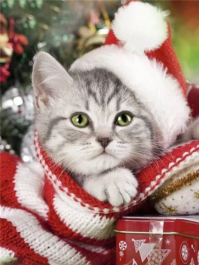 

Full Diamond Painting Animal Cat DIY Diamond Embroidery Dog Winter Decor Home Picture Christmas Gift