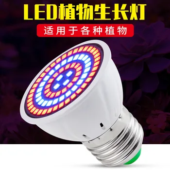 

Cross Border LED Red Blueray Plant Lights Indoor Seedling Spectrum Succulent Flood Lamp Greenhouse Flower Growing Bulb
