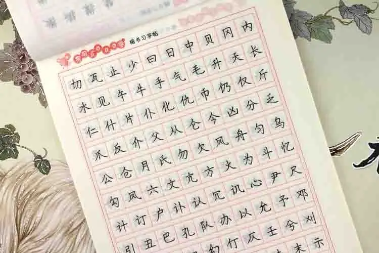 Китайская каллиграфия ручка для тетради карандаш практическая книга булавка Инь пиньинь китайские персонажи Обучающая книга 5000 слов