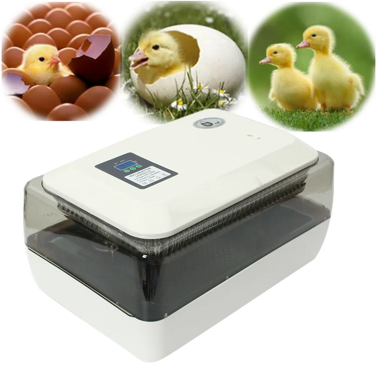 180V/240V 50-60HZ 85W Auto-Turning Digital 24 Eggs AU Plug Incubator Automatic Hatch Chicken Duck Egg 43x29x22.5cm Simple