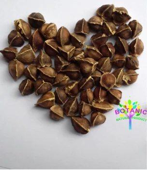 

100pcs-1000pcs high quality natural organic horseradish seeds wild horseradish seeds in India, enhance energy, free delivery