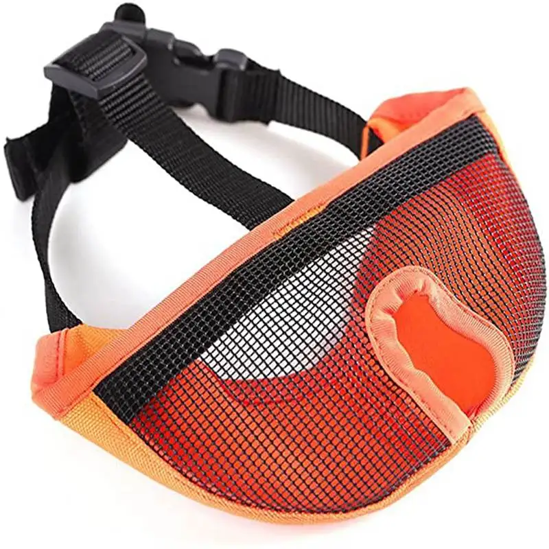 71bBD5ndRaL._AC_SX679_