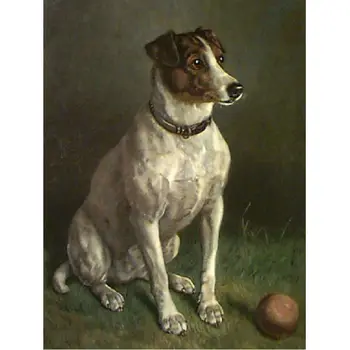 

5D diy Diamond painting cross stitch kit rhinestone Home decor square full Mosaic Diamond embroidery Animal dog pattern pictures