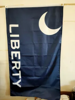 

Fort Moultrie Liberty Flag Custom Any size 3x5ft Flying Banner 100D Polyester Advertising Sports Decoration Car Grommets