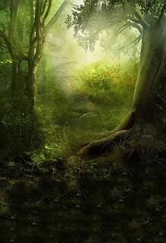 

Foggy forest backgrounds child photography vinyl scenery special portrait photo backdrop in photo studio kits photophone lv-2154