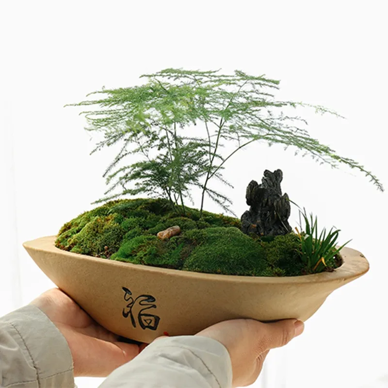 Pot de bonsaï chinois pour la décoration intérieure, plante non incluse,  micro-paysage créatif - AliExpress