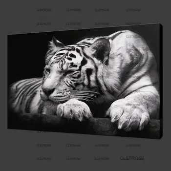

Unframed White Tiger Paint On Canvas Paintings Home Decor for Living Room Decoration Modern Art Animal Picture Wall Art