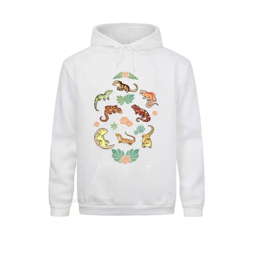 Cute 72775 Normal Long Sleeve Sweatshirts Summer Hoodies for Women Hoods Summer Top Quality 72775 white