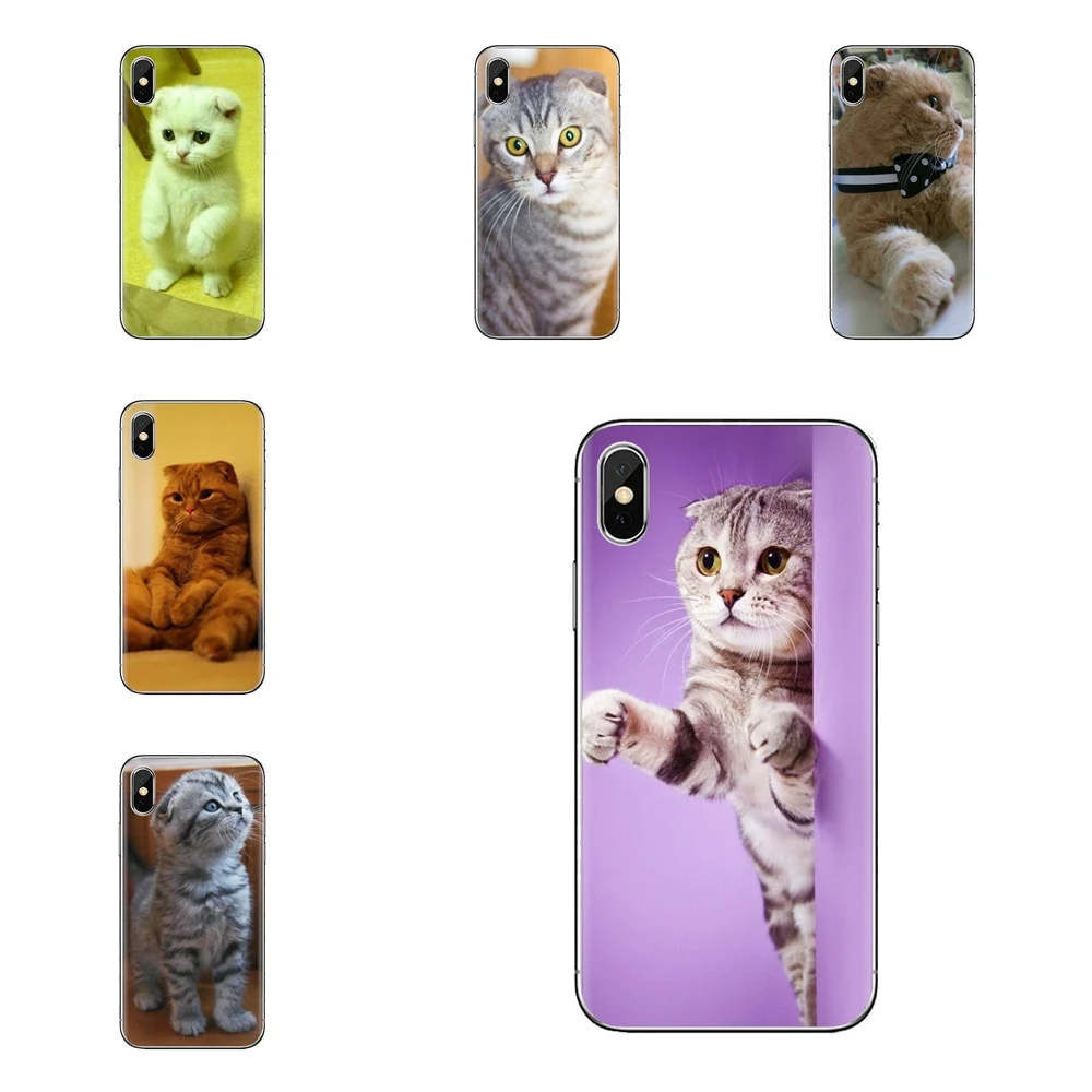 TPU Case For Samsung Galaxy S2 S3 S4 S5 MINI S6 S7 edge S8 S9 Plus Note 2 3 4 5 8 Coque Fundas Scottish cat Felis catus Scotland |