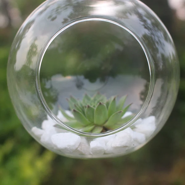 

Garden Decor Glass Vase 10cm Terrarium Hanging Clear Round Planter Ornament Transparent Table Hydroponic Container Pot Flower