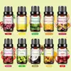 10pcs Fruit Fragrance Essential Oils Gift Set Strawberry Mango Watermelon Passion Fruit Coconut Flavoring Oil for Candle Making ► Photo 2/6