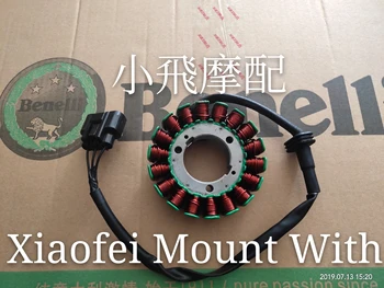 

Benelli BJ500GS-A/TRK502X Electric Motorcycle Stator Coil