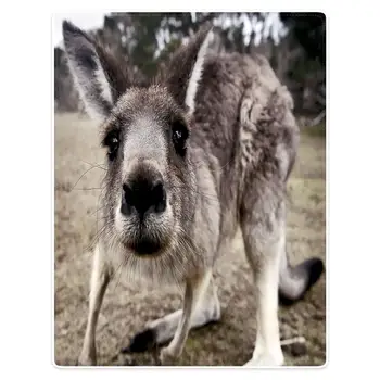 

HommomH blanket 150x200 cm blanket soft flannel soft wool blanket cute little kangaroo