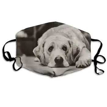 

Labrador Dog Washable Reusable Mask, Cotton Anti Dust Half Face Mouth Mask For Kids Teens Men Women With Adjustable Ear Loops