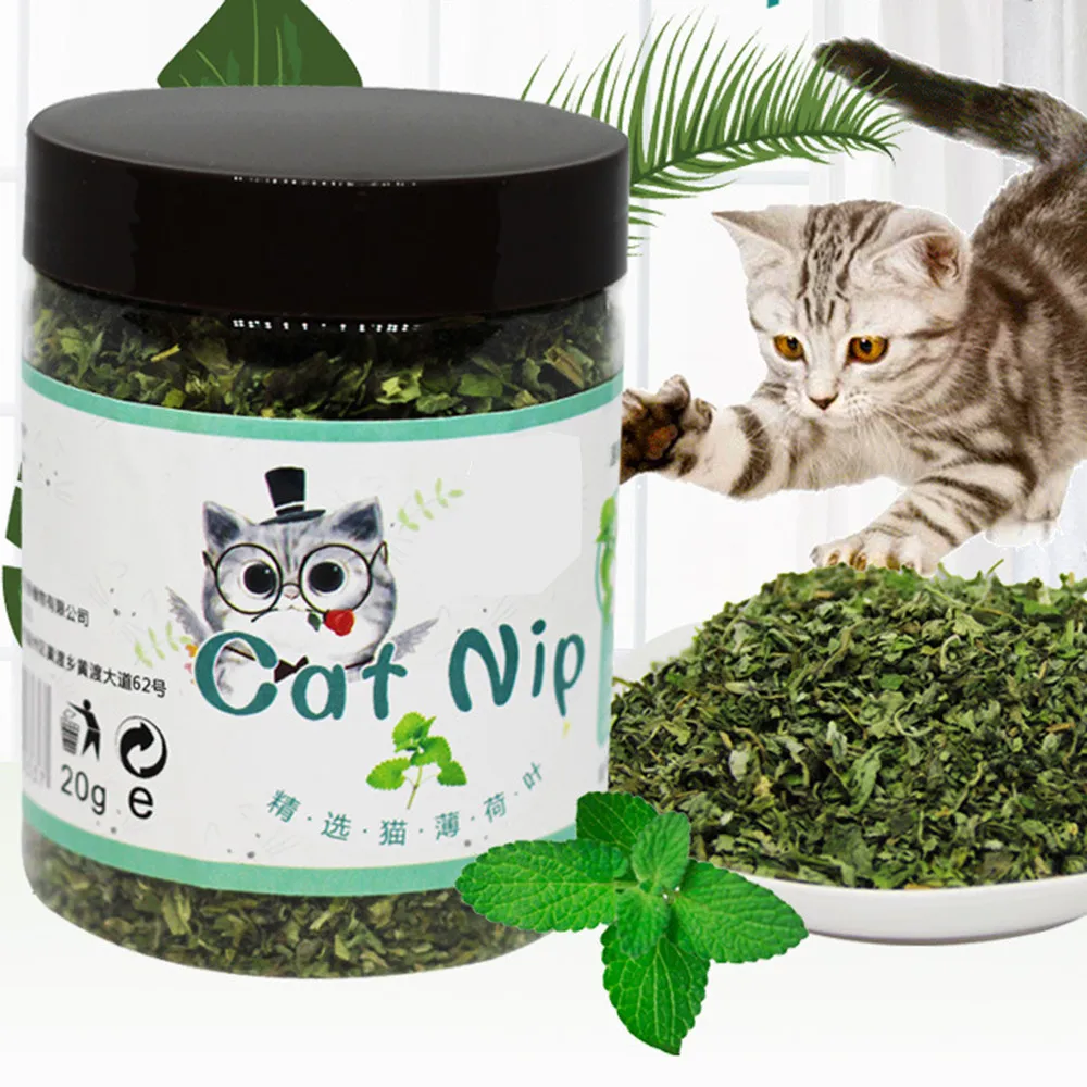 

20g Natural Cat Catnip Grass One Box Healthy Organic Catnip for Cats Energy Recovery Cat Toys Keeping Healthy Cat Supplies