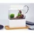 Mini Betta Fish Tank Desktop Marine Aquaponic Аквариумные Рыбы Чаша С Водой Fliter LED Light USB Воздушный Насос Портативные Украшения