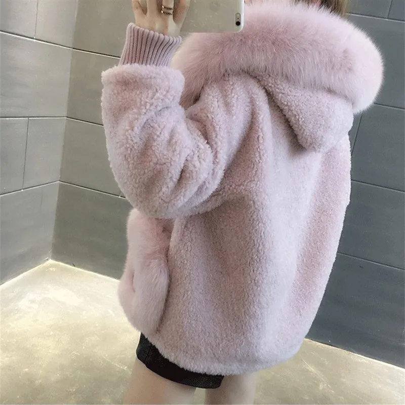 2041