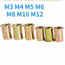 Flat Head Zinc Plated Carbon Steel Knurled Rivet Nut Insert - M12 (5pcs)