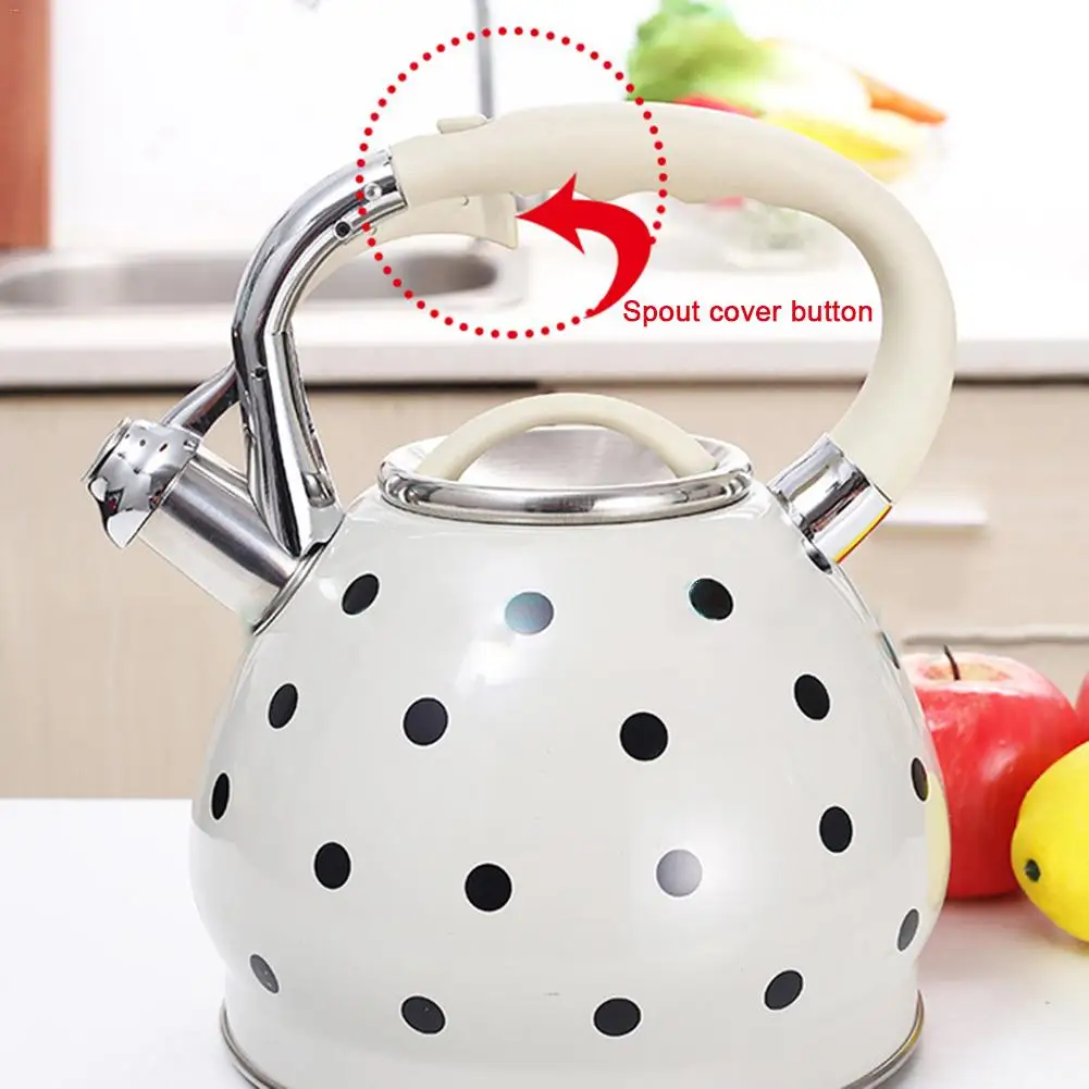 3.5L чайник для индукционной плиты, свистящий чайник из нержавеющей стали, открытый горшок, походная газовая плита, чайник, инструменты для приготовления пищи