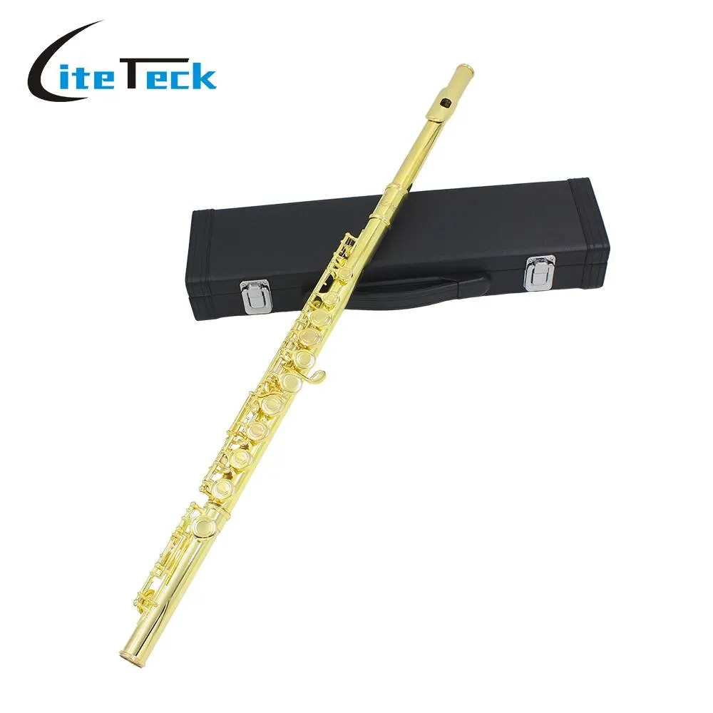 Western Concert Flute Cupronickel Plated Silver 16 Holes C Key Flute Woodwind Instrument with Case Cleaning Set
