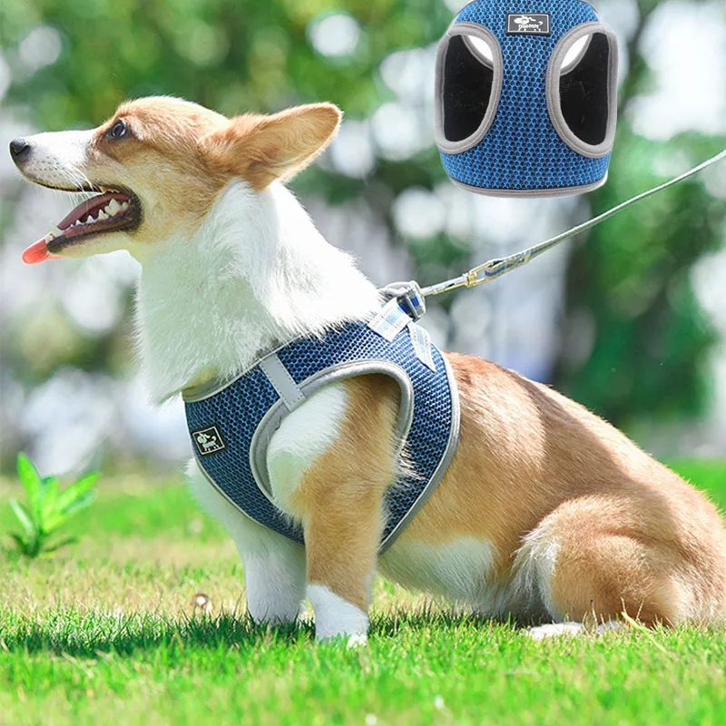 harness3