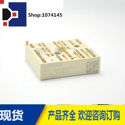 SKIIP26NAB065V1/