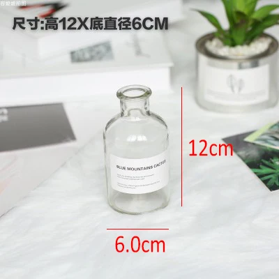 Nordic Style Retro Transparent Brown Glass Bottle Bedroom Vase Desktop Photography Accessories Studio Photo Backdrop Ornamen 12x6cm