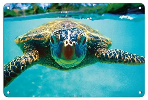 Гавайская морская черепаха (Honu) -из оригинальной цветной фотографии Кирка ли