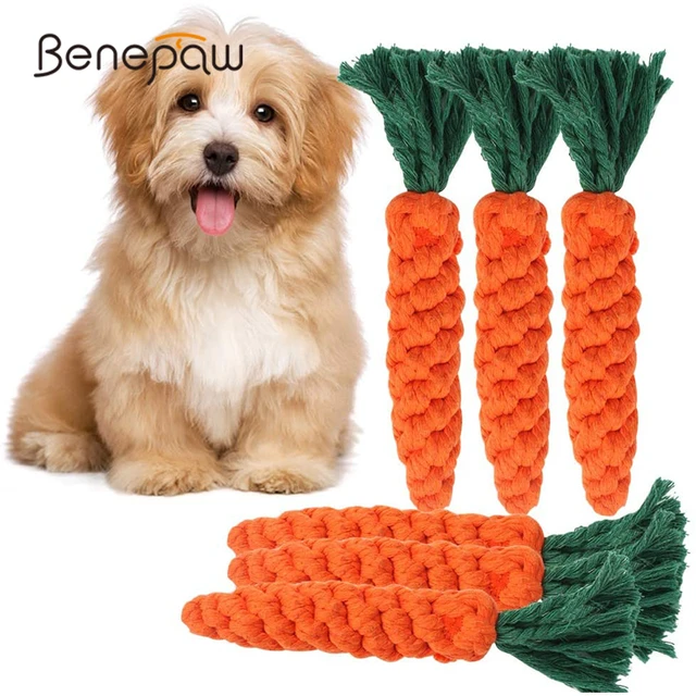 Rope Toys for Dog Carrot of Cotton Rope 21 x 4 Cm