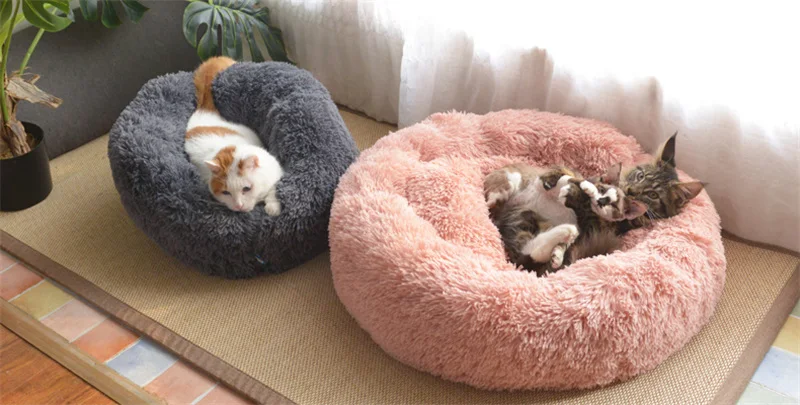 O1CN01cAX77T1flZM4ObX94_!!2199674047