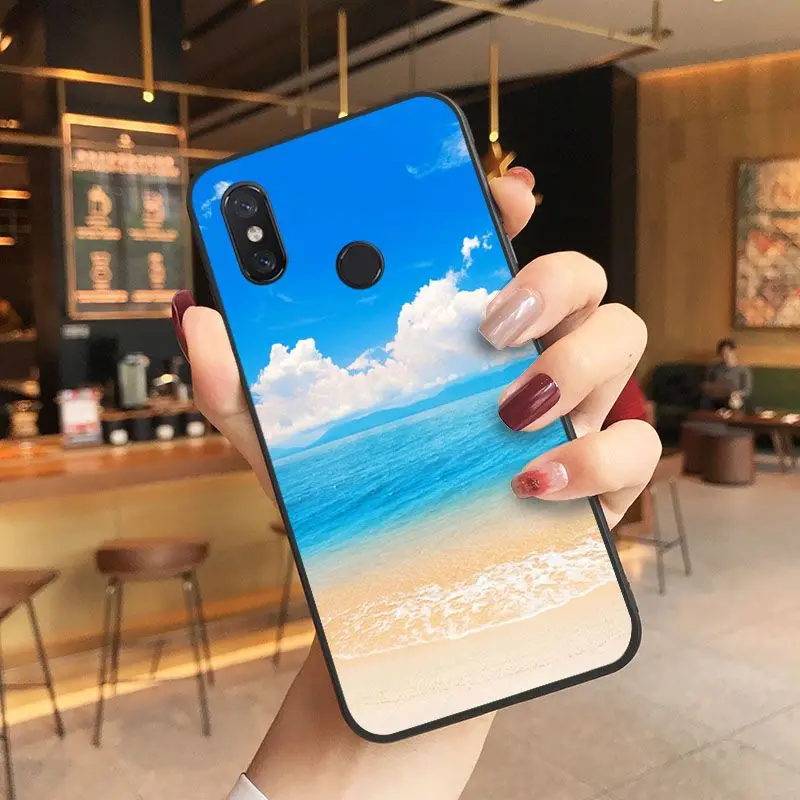 beach starfish blue sky