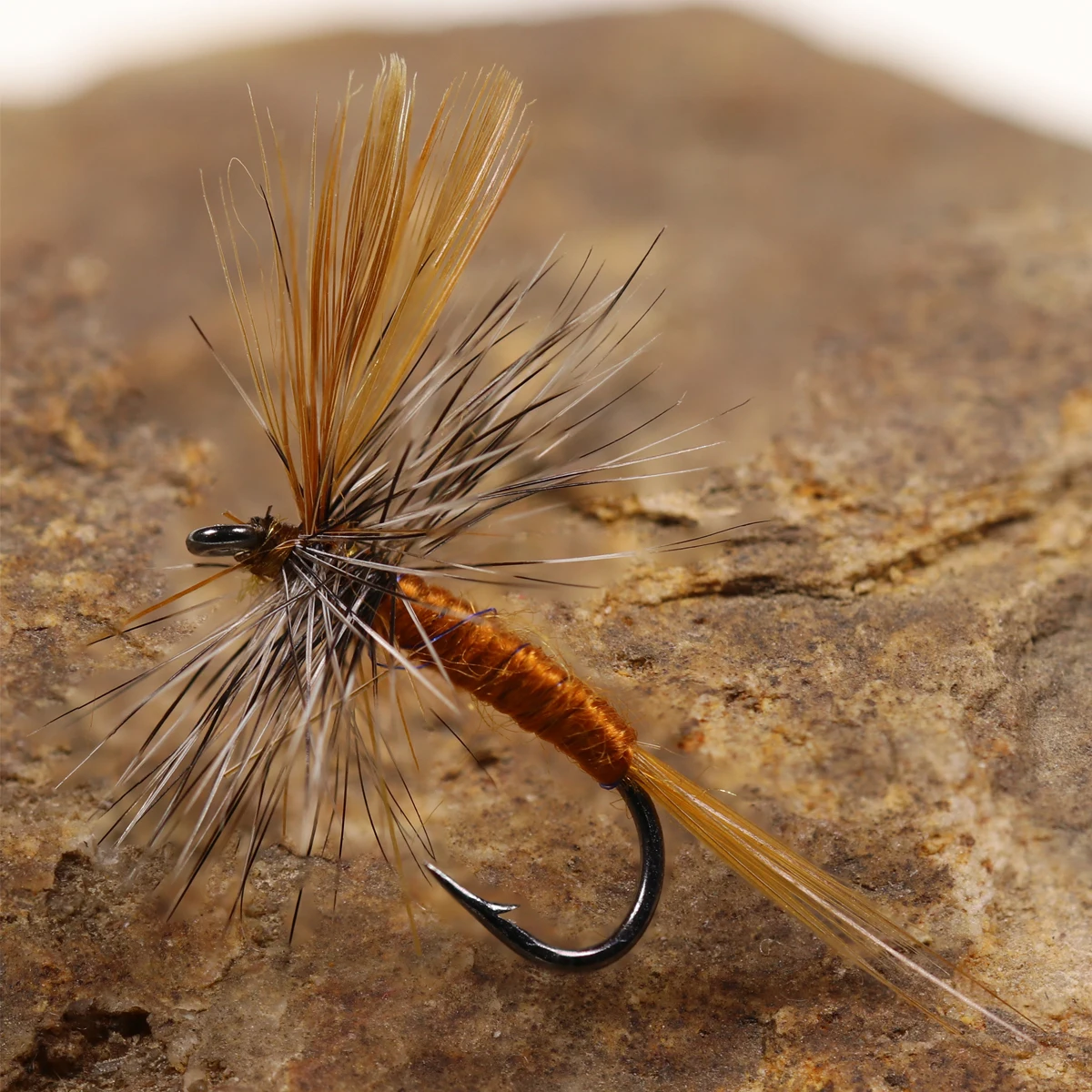 Lot de 5 leurres de pêche à la mouche sèche