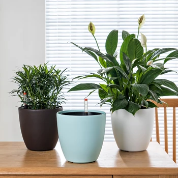 

Table top creative round automatic water absorbing flowerpot green rose meat Mini lazy man frosted plastic flowerpot cl103001