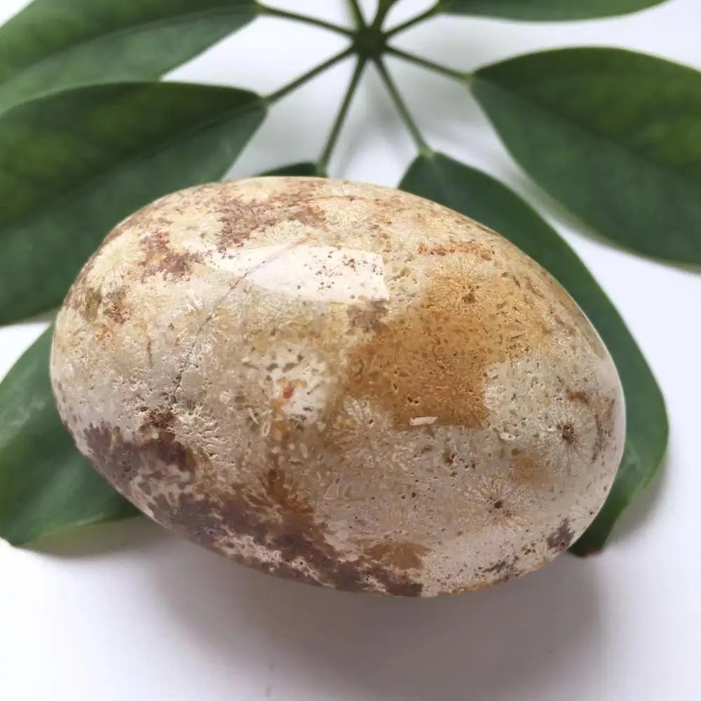 High Quality Natural Coraljade Hand Carved Crystal Palm Stones For Present Or Collection ZY - Цвет: Coraljade
