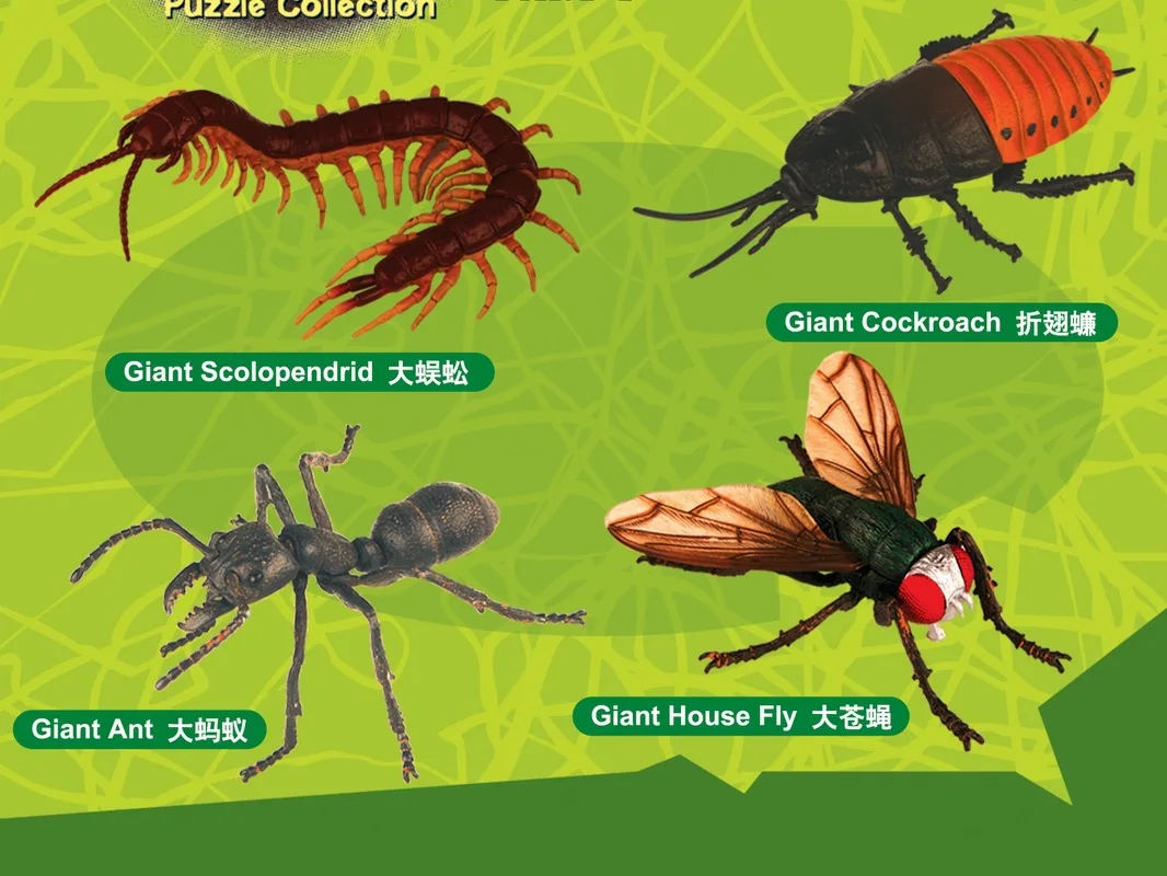 4-Mixed 24 of Children'S Educational Strange New Toy 3D Assembled Insect Model Assembled Model
