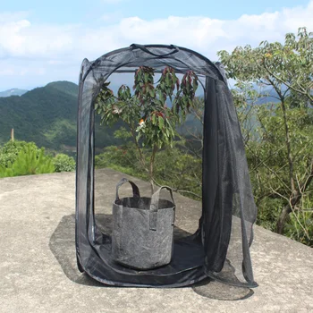 

Insect Cage Foldable Butterfly Habitat Mesh Transparent Surface Portable Zipper For Outdoor Work Panels For Good Air Flow