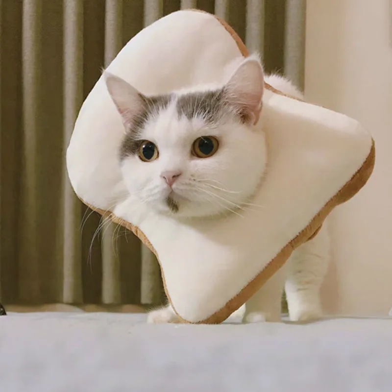 

Pet Dog Cat Protection Cover Wound Healing Cone Protective Pet Medical CollarPrevent Bite Pretty Cut Protection Cover Collars