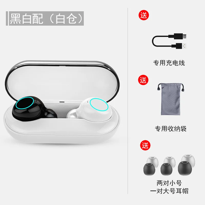 BlackWhite WhiteCase CLAITE TWS Беспроводные bluetooth 5,0 наушники IPX8 водонепроницаемые спортивные наушники для плавания сенсорное управление шумоподавление гарнитура с микрофоном - Цвет: BlackWhite WhiteCase