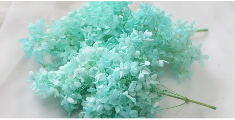 20g High Quality Natural Fresh Preserved Flowers Dried Mid-wood Hydrangea Flower Head For DIY Real Eternal Life Flowers Material