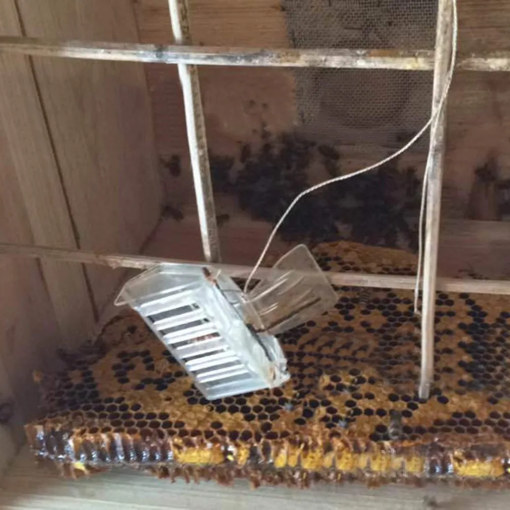 Прозрачный пластиковый зажим, маточная Клеточка, зажим, ловушка для пчел, зажим-ловушка для пчеловодства, прочный приспособление для пчеловодства, оборудование для пчеловодства, дропшиппинг