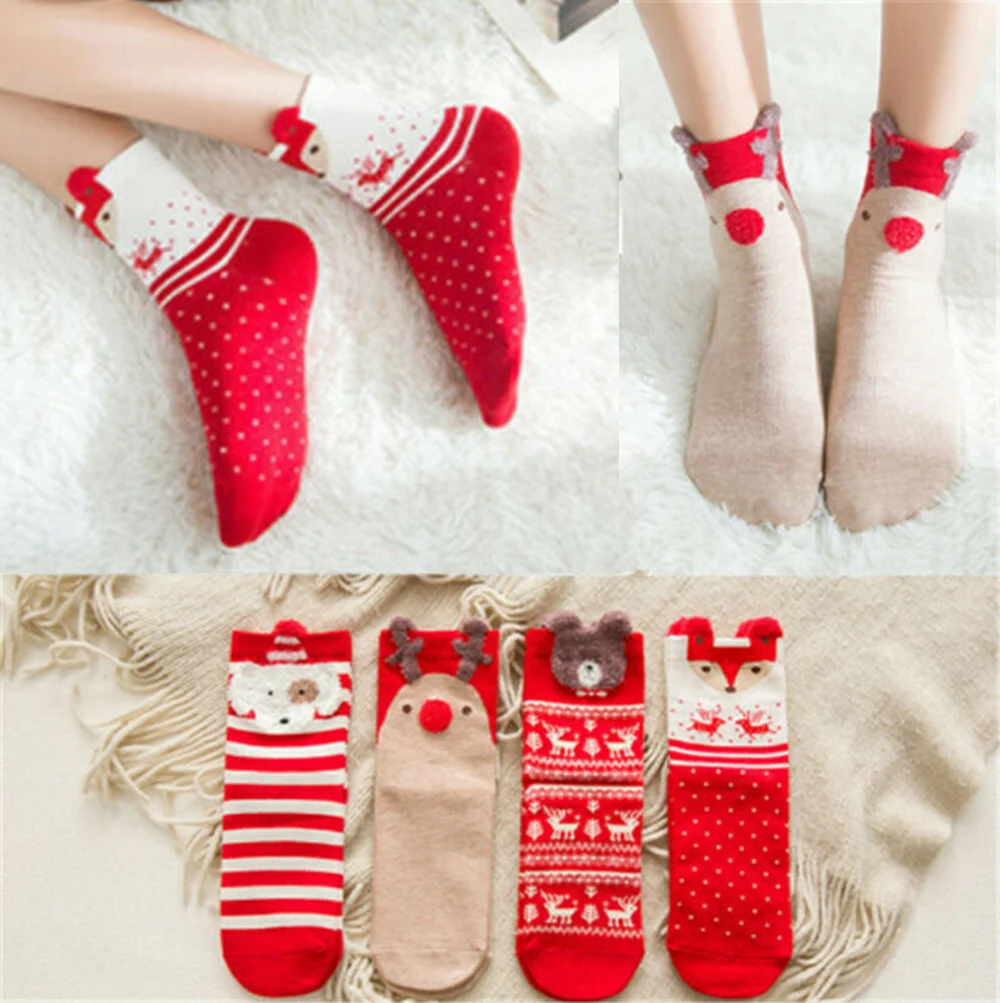 8a9ae1c16e11f7eb016e16dd528c08cd