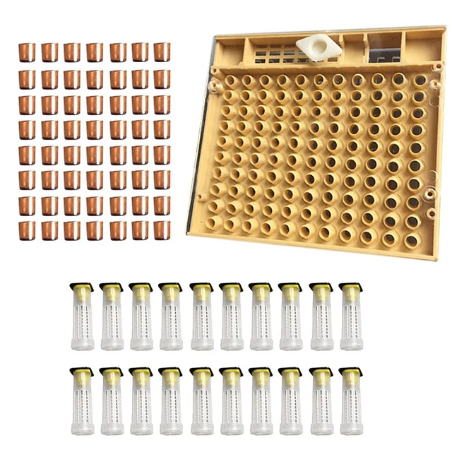 Bee Cell Cups Cup Kit Queen Ketrec Greenvive Nevelési Rendszer Méh Tenyésztési Készlet Termesztési Doboz 110Pcs Műanyag