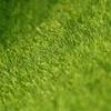 Green Micro Landscape Decoration Mini Fairy Garden Simulation Plants Artificial Fake Moss Decorative Lawn Turf Green Grass 15*15 ► Photo 3/5