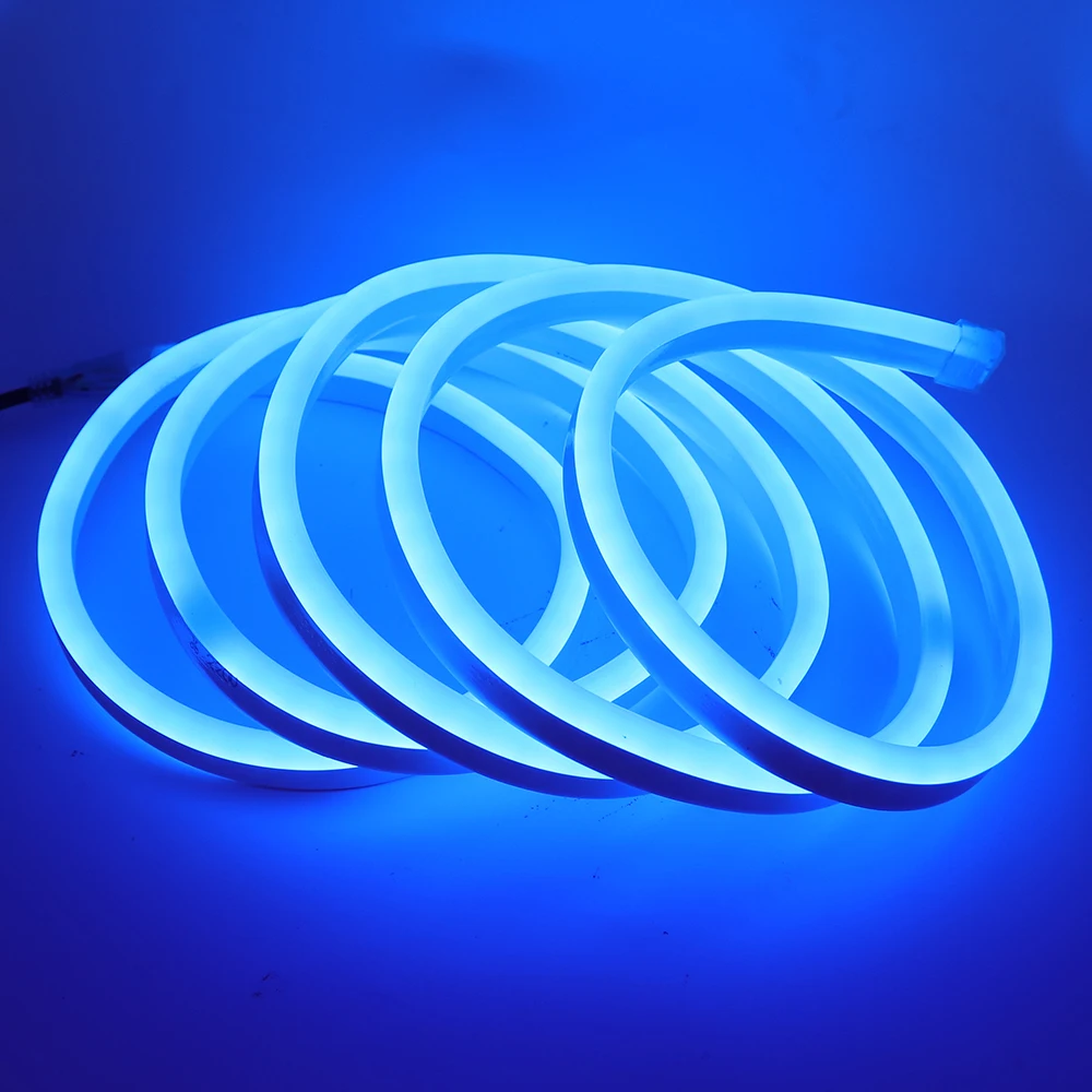 110 В 20 В 230 В 240 В RGB светодио дный неоновые полосы Flex Веревки для украшения дома лампы освещения сада с EU/UK/US/AU пульт дистанционного управления