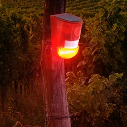 Solar warning light LED waterproof human infrared sensor solar burglar alarm light
