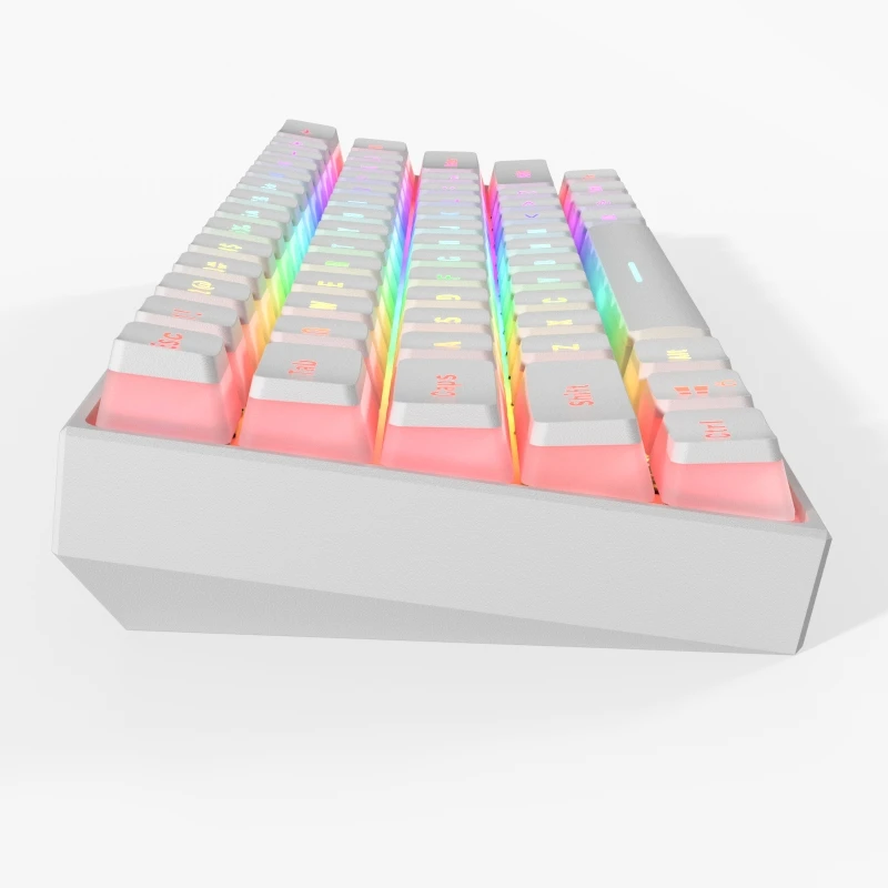 61 Keys Type-C RGB LED Double Skin Milk Wired Mechanical Keyboard Mini Gaming Keyboard Gateron Switchs for PC Mac